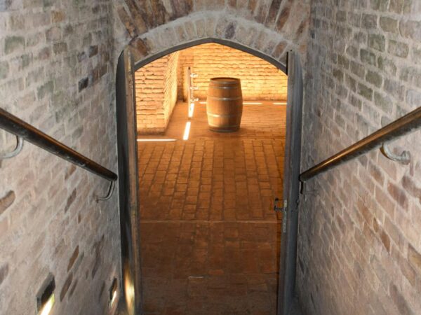 Silberfische im Keller bekämpfen – dunkle feuchte Räume trocken halten
