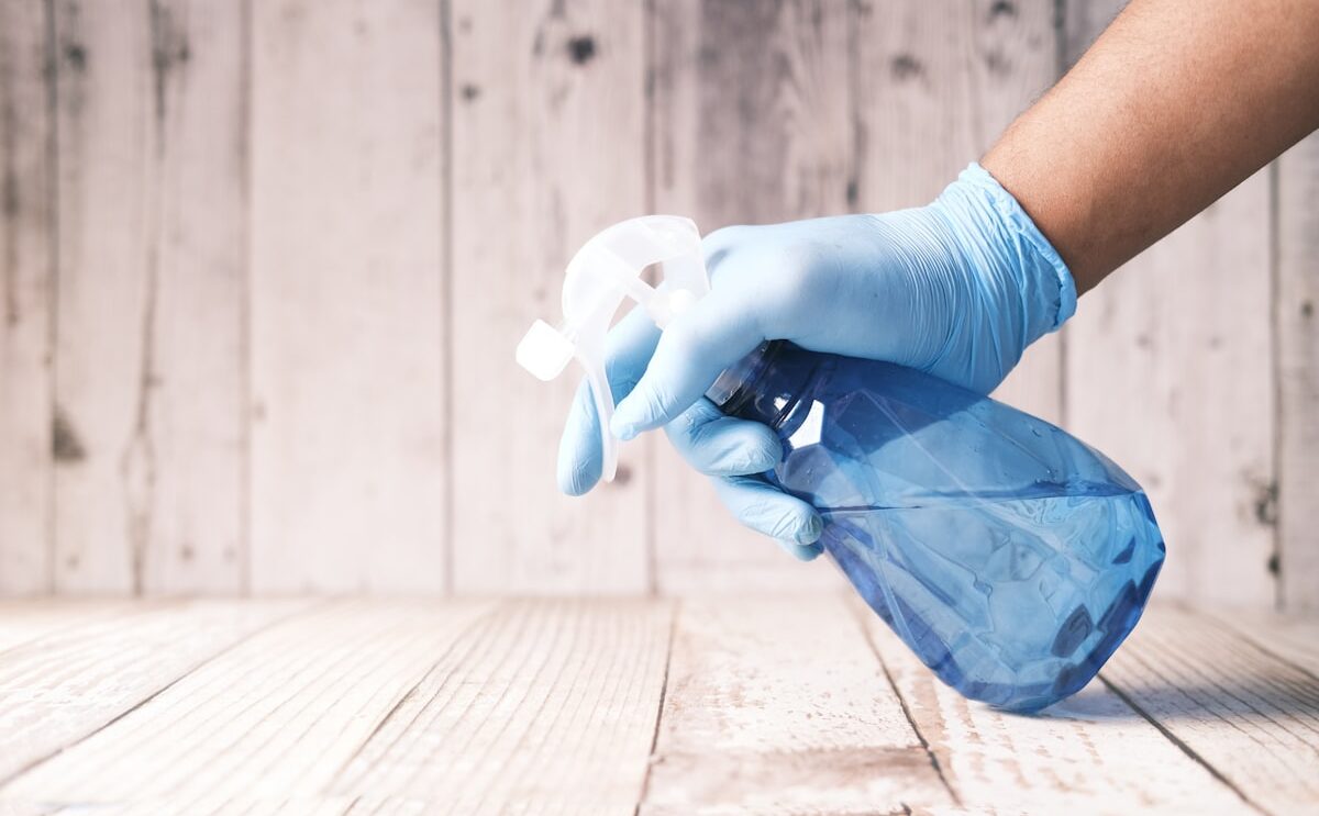 Insektenschutzspray gegen Silberfische – welches Mittel wirkt wirklich?